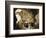 The Temptation of Saint Anthony-David Teniers the Younger-Framed Giclee Print