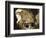 The Temptation of Saint Anthony-David Teniers the Younger-Framed Giclee Print