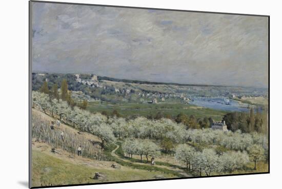 The Terrace at Saint-Germain, Spring, 1875 (Oil on Canvas)-Alfred Sisley-Mounted Giclee Print