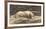 The Terrier-Herbert Dicksee-Framed Premium Giclee Print