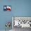 The Texas Flag-bioraven-Art Print displayed on a wall