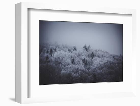 The Texture of Fog-Philippe Sainte-Laudy-Framed Photographic Print