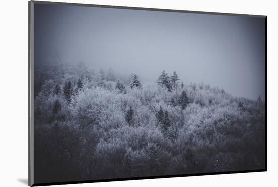 The Texture of Fog-Philippe Sainte-Laudy-Mounted Photographic Print