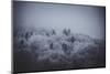 The Texture of Fog-Philippe Sainte-Laudy-Mounted Photographic Print