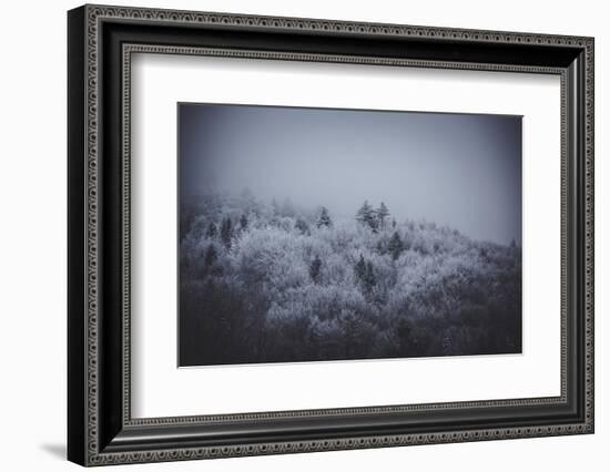 The Texture of Fog-Philippe Sainte-Laudy-Framed Photographic Print