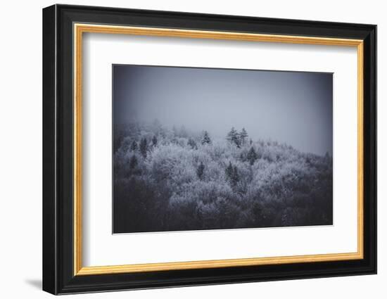 The Texture of Fog-Philippe Sainte-Laudy-Framed Photographic Print