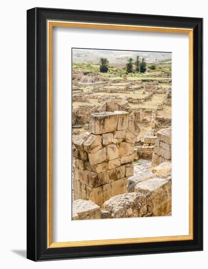 The Theater, Roman ruins of Bulla Regia, Tunisia-Nico Tondini-Framed Photographic Print