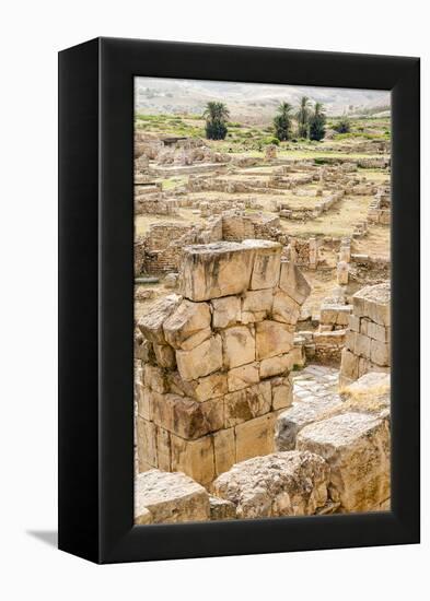 The Theater, Roman ruins of Bulla Regia, Tunisia-Nico Tondini-Framed Premier Image Canvas