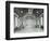 The Theatre Proscenium, Normansfield Hospital, Richmond Upon Thames, 1976-null-Framed Photographic Print