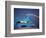 The Theme Building, Los Angeles Airport, Lax-Walter Bibikow-Framed Photographic Print