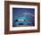 The Theme Building, Los Angeles Airport, Lax-Walter Bibikow-Framed Photographic Print