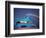 The Theme Building, Los Angeles Airport, Lax-Walter Bibikow-Framed Photographic Print