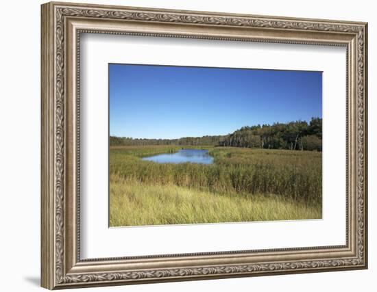 The Therbrennersee Lake on the Western Beach of Darss Peninsula-Uwe Steffens-Framed Photographic Print