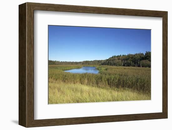 The Therbrennersee Lake on the Western Beach of Darss Peninsula-Uwe Steffens-Framed Photographic Print