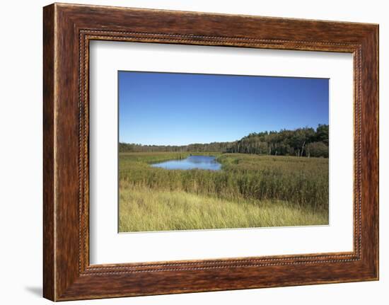 The Therbrennersee Lake on the Western Beach of Darss Peninsula-Uwe Steffens-Framed Photographic Print