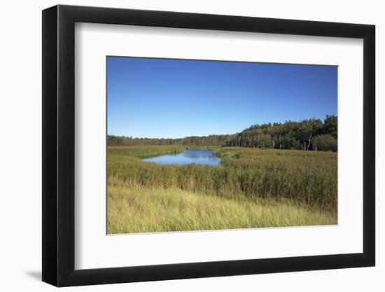 The Therbrennersee Lake on the Western Beach of Darss Peninsula-Uwe Steffens-Framed Photographic Print