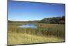 The Therbrennersee Lake on the Western Beach of Darss Peninsula-Uwe Steffens-Mounted Photographic Print