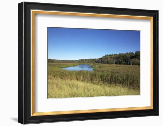 The Therbrennersee Lake on the Western Beach of Darss Peninsula-Uwe Steffens-Framed Photographic Print