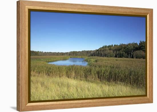 The Therbrennersee Lake on the Western Beach of Darss Peninsula-Uwe Steffens-Framed Premier Image Canvas