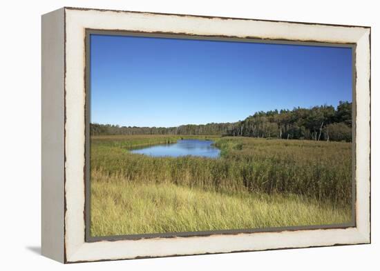 The Therbrennersee Lake on the Western Beach of Darss Peninsula-Uwe Steffens-Framed Premier Image Canvas