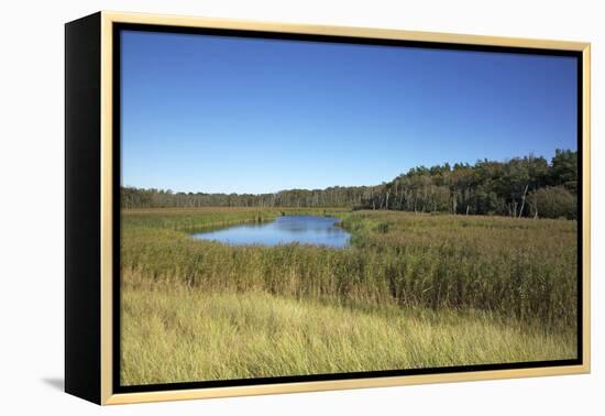 The Therbrennersee Lake on the Western Beach of Darss Peninsula-Uwe Steffens-Framed Premier Image Canvas