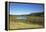 The Therbrennersee Lake on the Western Beach of Darss Peninsula-Uwe Steffens-Framed Premier Image Canvas