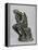 The Thinker-Auguste Rodin-Framed Premier Image Canvas