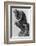 The Thinker-null-Framed Photographic Print