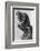 The Thinker-null-Framed Photographic Print