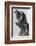 The Thinker-null-Framed Photographic Print