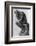 The Thinker-null-Framed Photographic Print