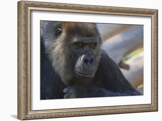 The Thinker-Susann Parker-Framed Photographic Print