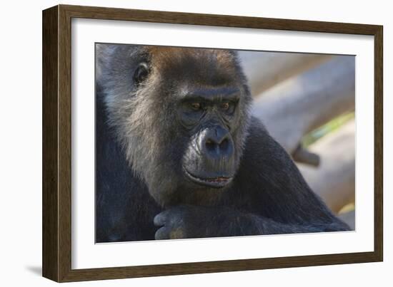 The Thinker-Susann Parker-Framed Photographic Print