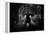 The Third Man, Orson Welles, 1949-null-Framed Stretched Canvas