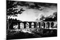 Photographic Print