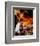 The Thorn Birds-null-Framed Photo