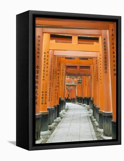 The ThoUSAnd Gates at Fushimi Inari Taisha, Kyoto, Japan-Rob Tilley-Framed Premier Image Canvas