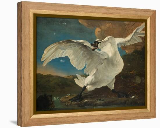 The Threatened Swan, before 1652-Jan Asselijn-Framed Premier Image Canvas