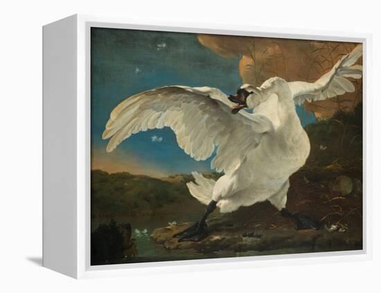 The Threatened Swan, before 1652-Jan Asselijn-Framed Premier Image Canvas