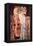 The Three Ages of a Woman-Gustav Klimt-Framed Stretched Canvas