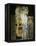 The Three Ages of Woman, 1905-Gustav Klimt-Framed Premier Image Canvas