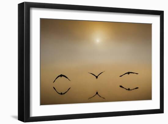 The Three Amigos-Adrian Campfield-Framed Photographic Print
