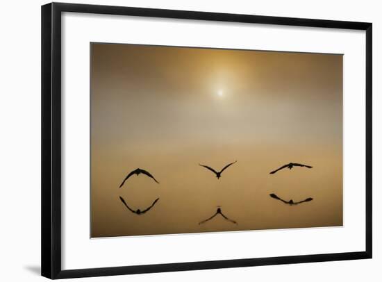 The Three Amigos-Adrian Campfield-Framed Photographic Print