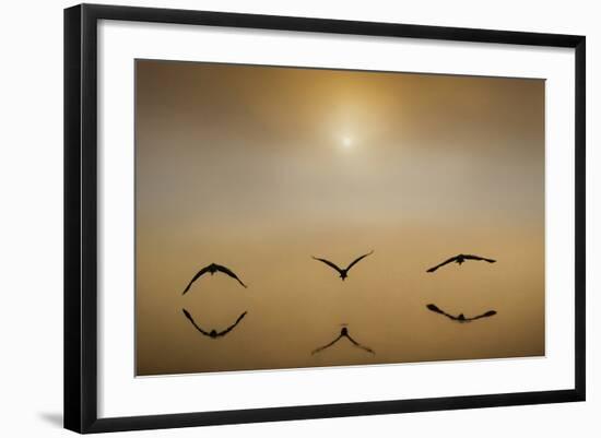 The Three Amigos-Adrian Campfield-Framed Photographic Print