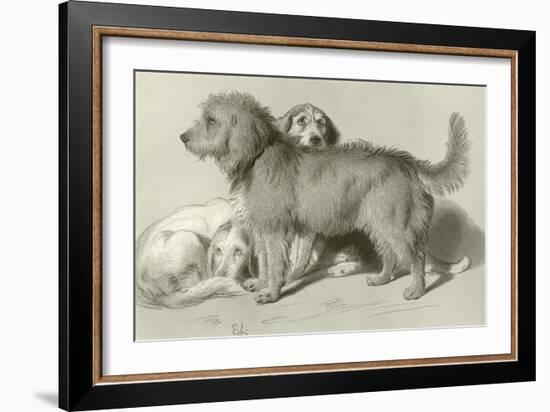 The Three Dogs-Edwin Henry Landseer-Framed Giclee Print