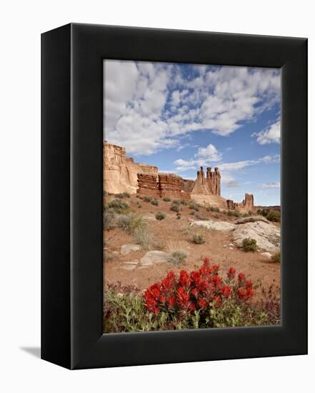 The Three Gossips and Common Paintbrush (Castilleja Chromosa), Arches National Park, Utah, USA-James Hager-Framed Premier Image Canvas