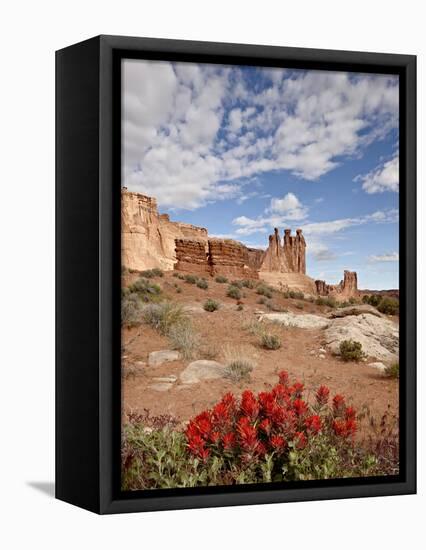 The Three Gossips and Common Paintbrush (Castilleja Chromosa), Arches National Park, Utah, USA-James Hager-Framed Premier Image Canvas