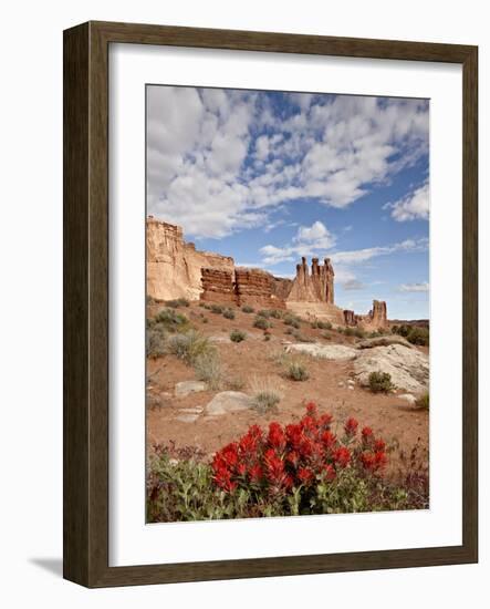 The Three Gossips and Common Paintbrush (Castilleja Chromosa), Arches National Park, Utah, USA-James Hager-Framed Photographic Print