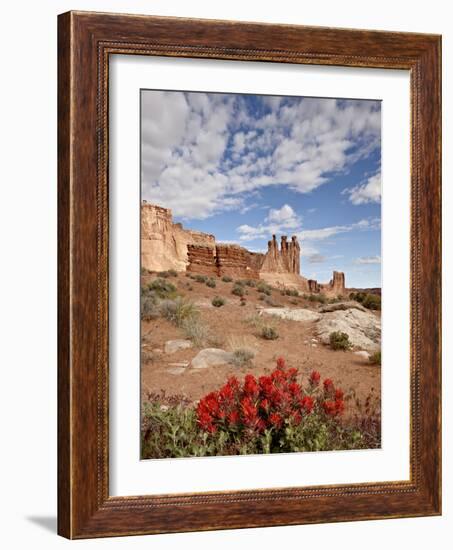 The Three Gossips and Common Paintbrush (Castilleja Chromosa), Arches National Park, Utah, USA-James Hager-Framed Photographic Print