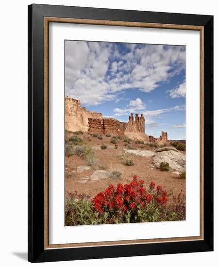 The Three Gossips and Common Paintbrush (Castilleja Chromosa), Arches National Park, Utah, USA-James Hager-Framed Photographic Print